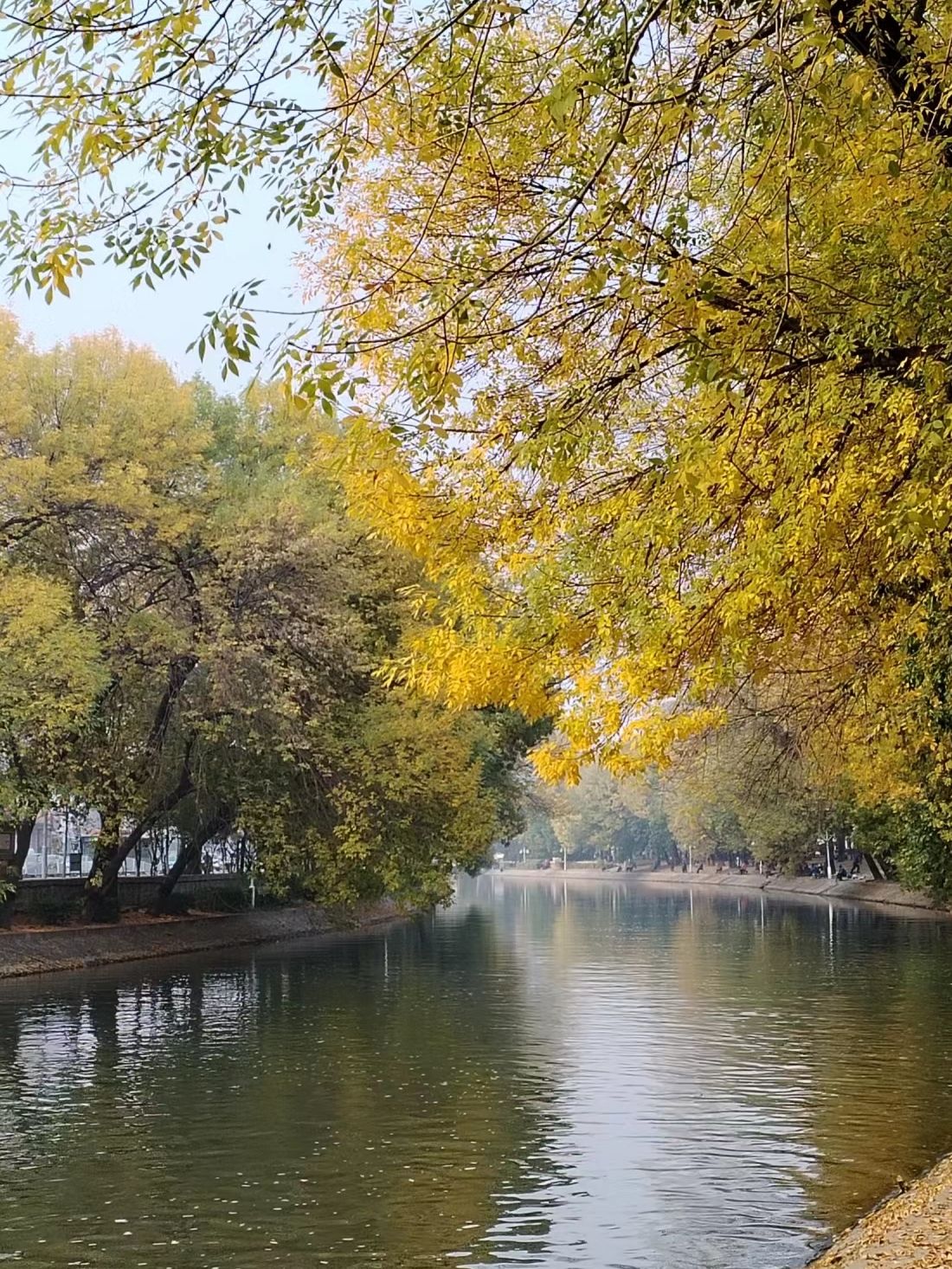 天子津渡遗址公园旅行图片 3