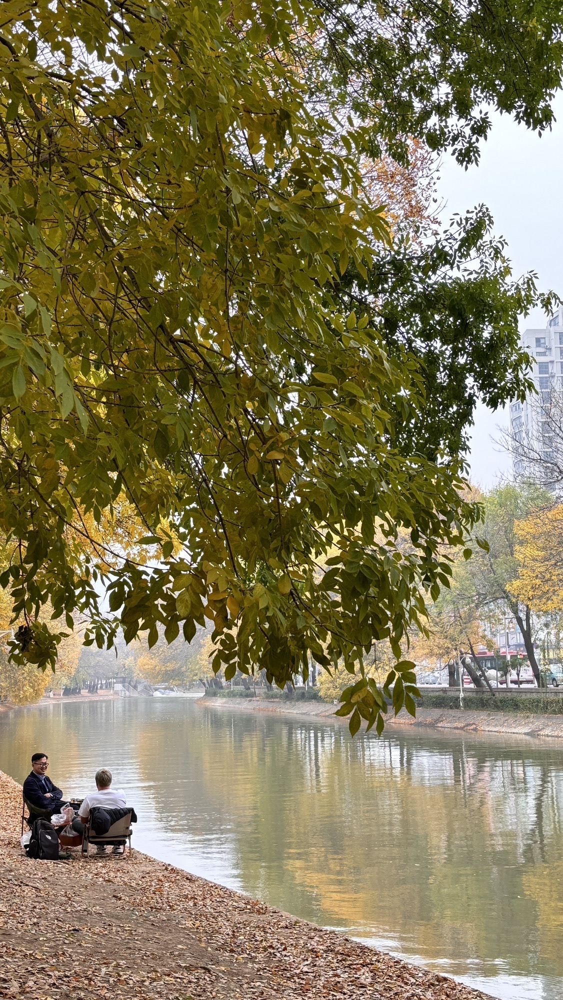 天子津渡遗址公园旅行图片 3