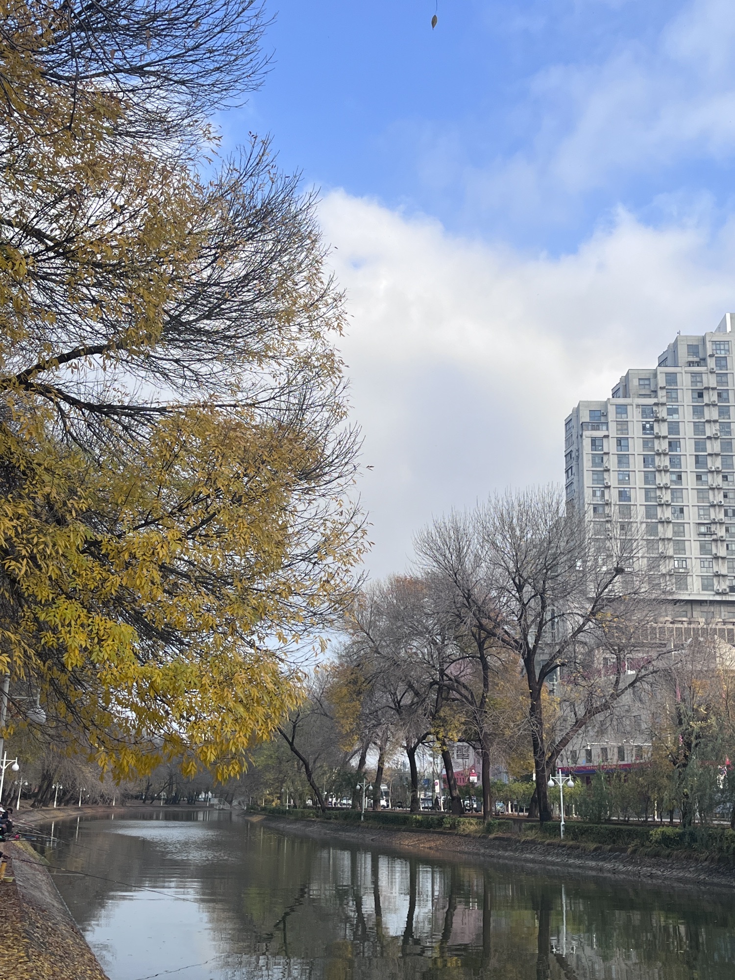 天子津渡遗址公园旅行图片 3