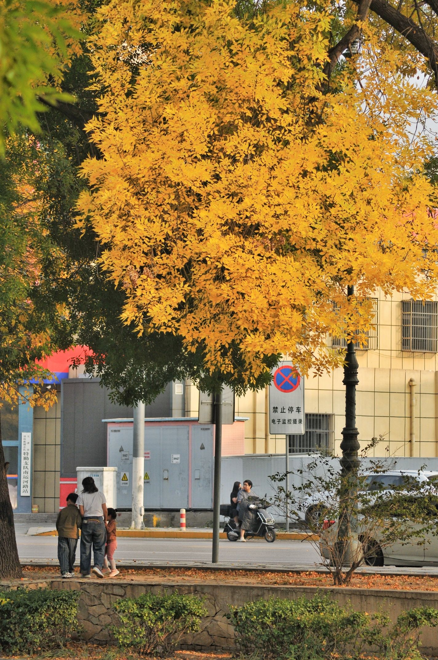天子津渡遗址公园旅行图片 2