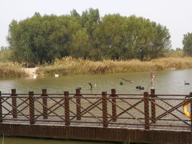 济西国家湿地公园旅行图片 3