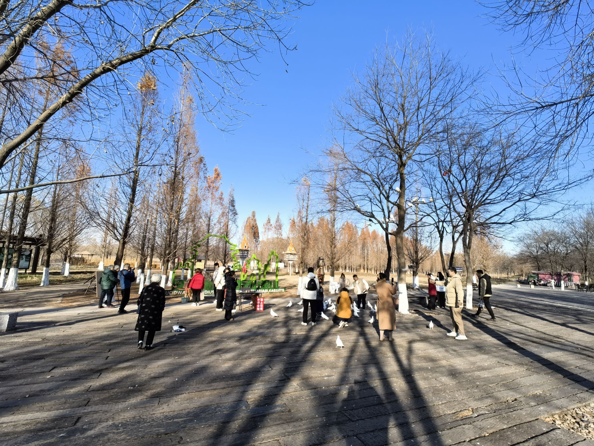 济西国家湿地公园旅行图片 3