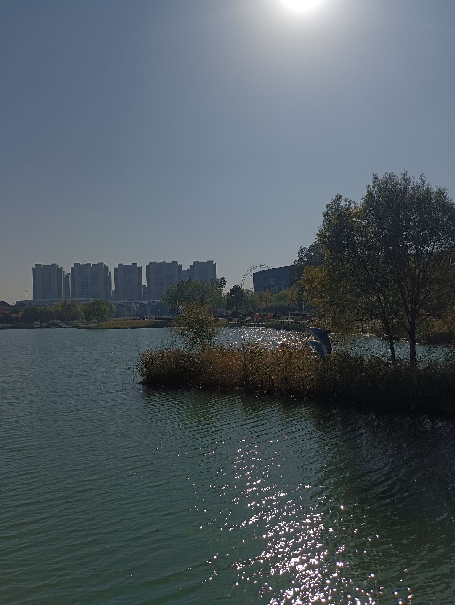 任城蓼河公园旅行图片 2