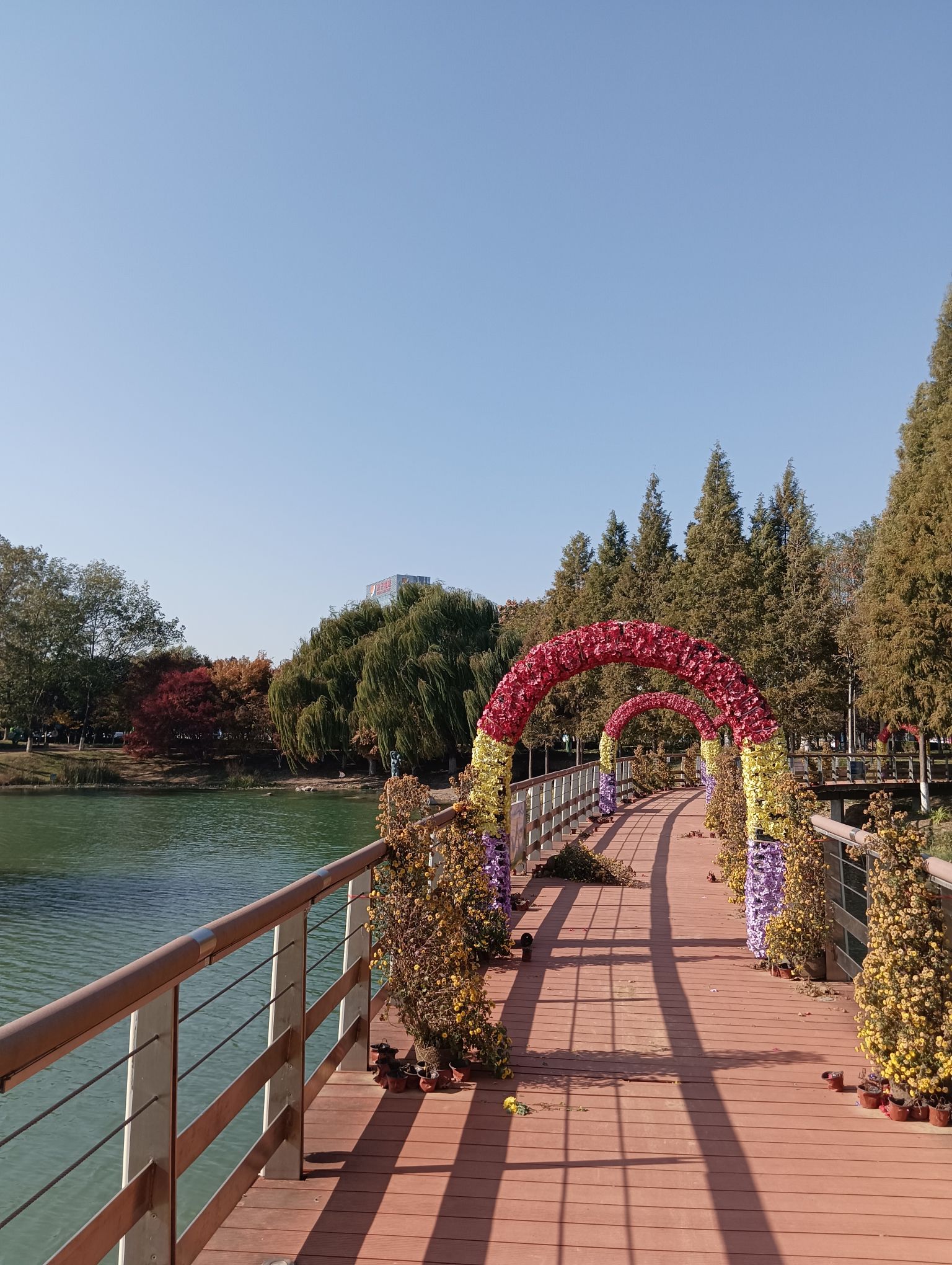 任城蓼河公园旅行图片 3