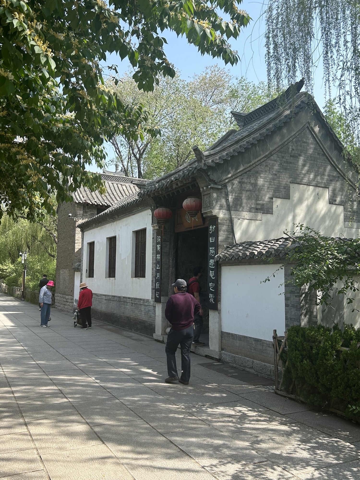 大明湖景区-朗园