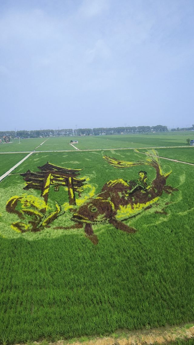 稻梦空间旅行图片 2