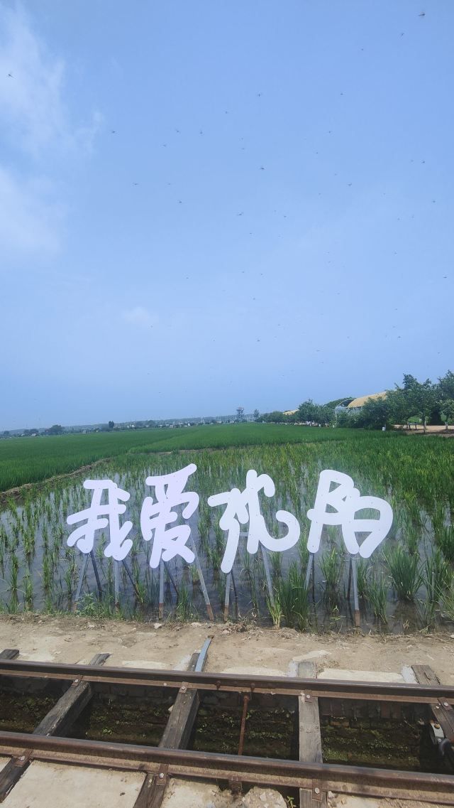 稻梦空间旅行图片 3