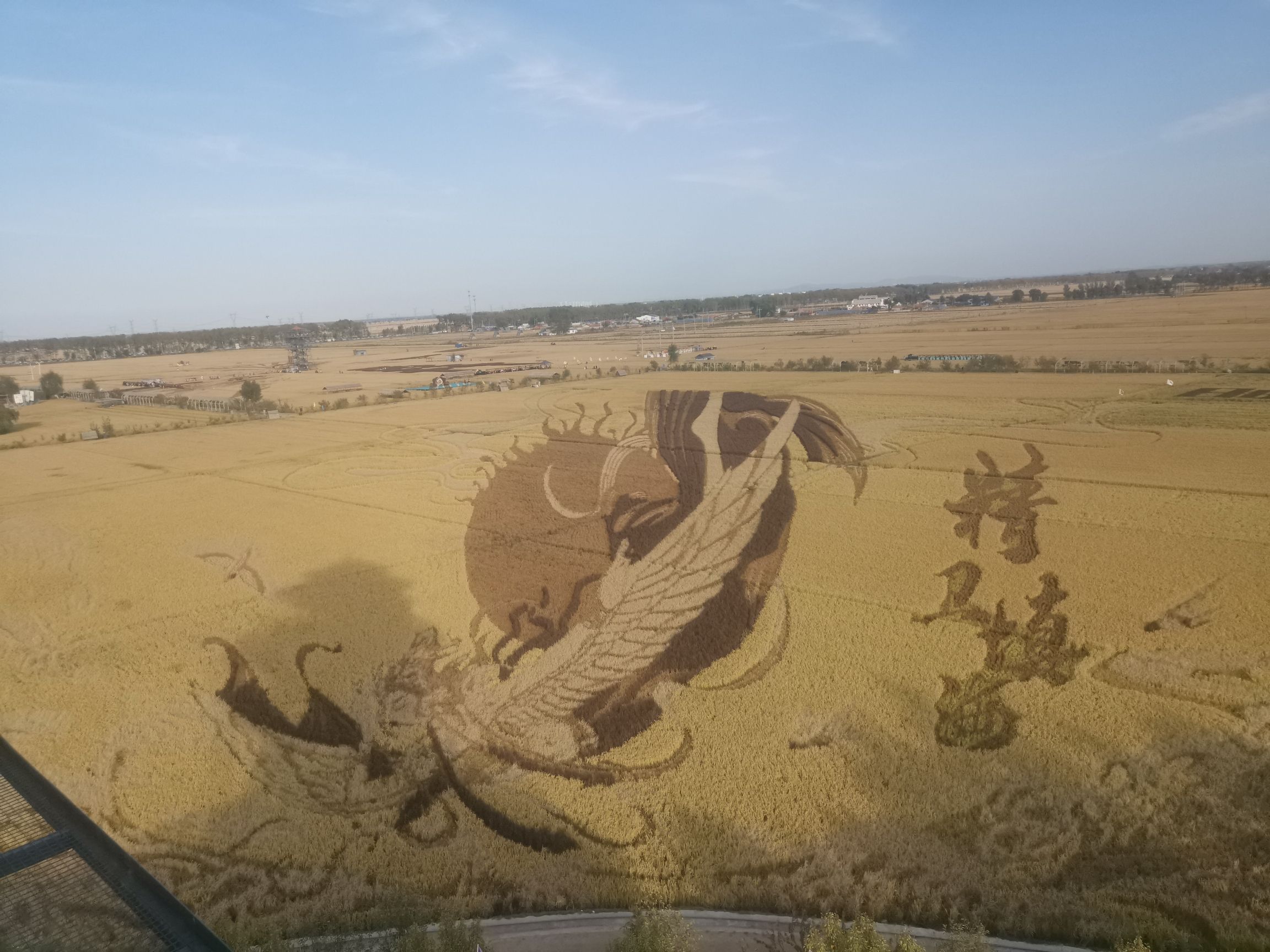 稻梦空间旅行图片 3