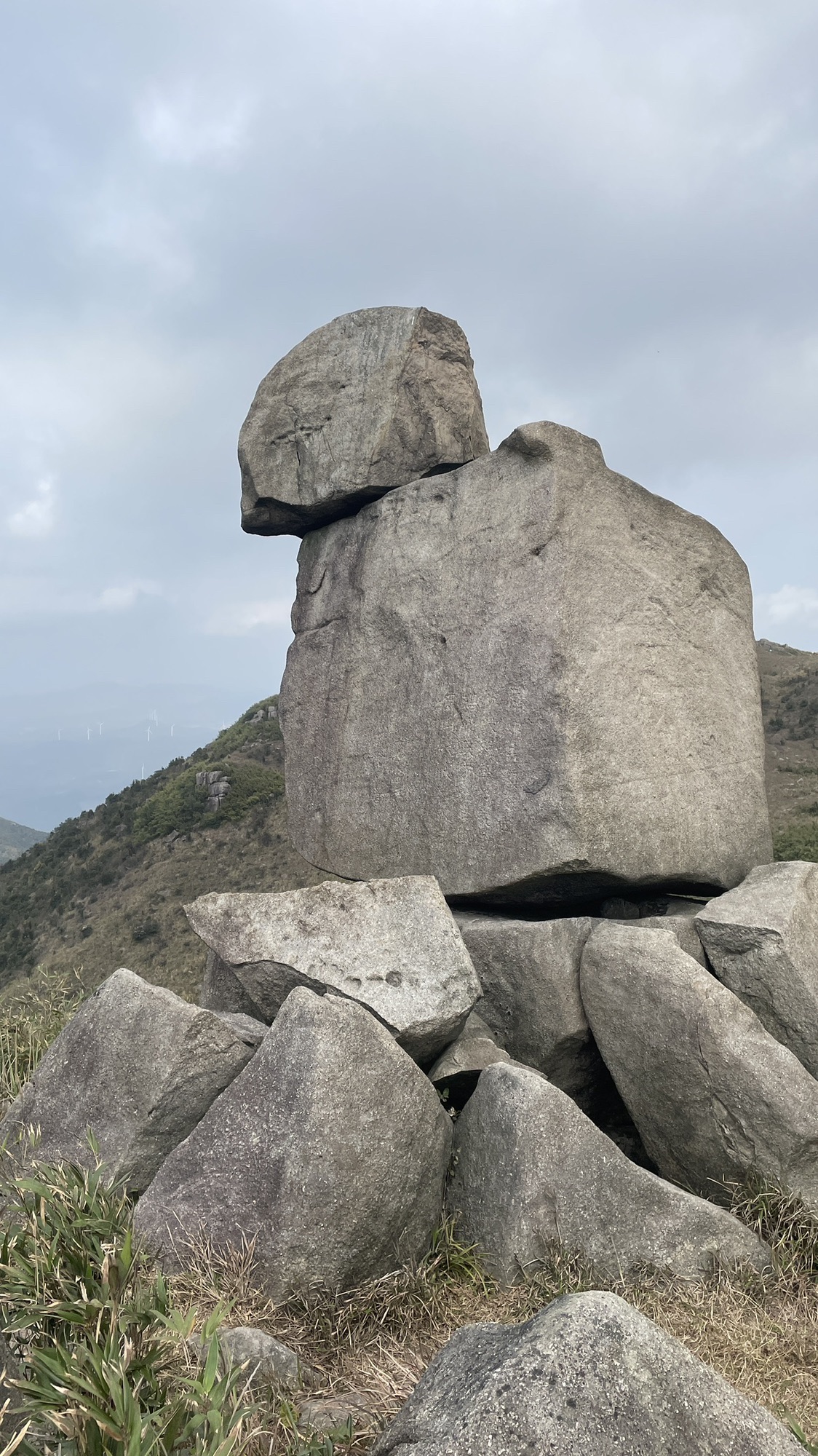 紫罗山森林公园旅行图片 3