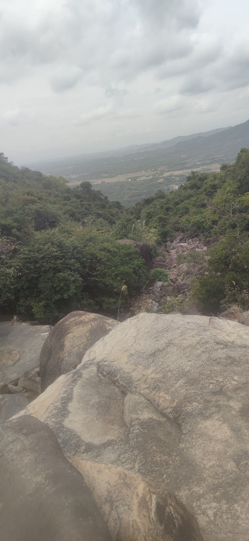 紫罗山森林公园旅行图片 2