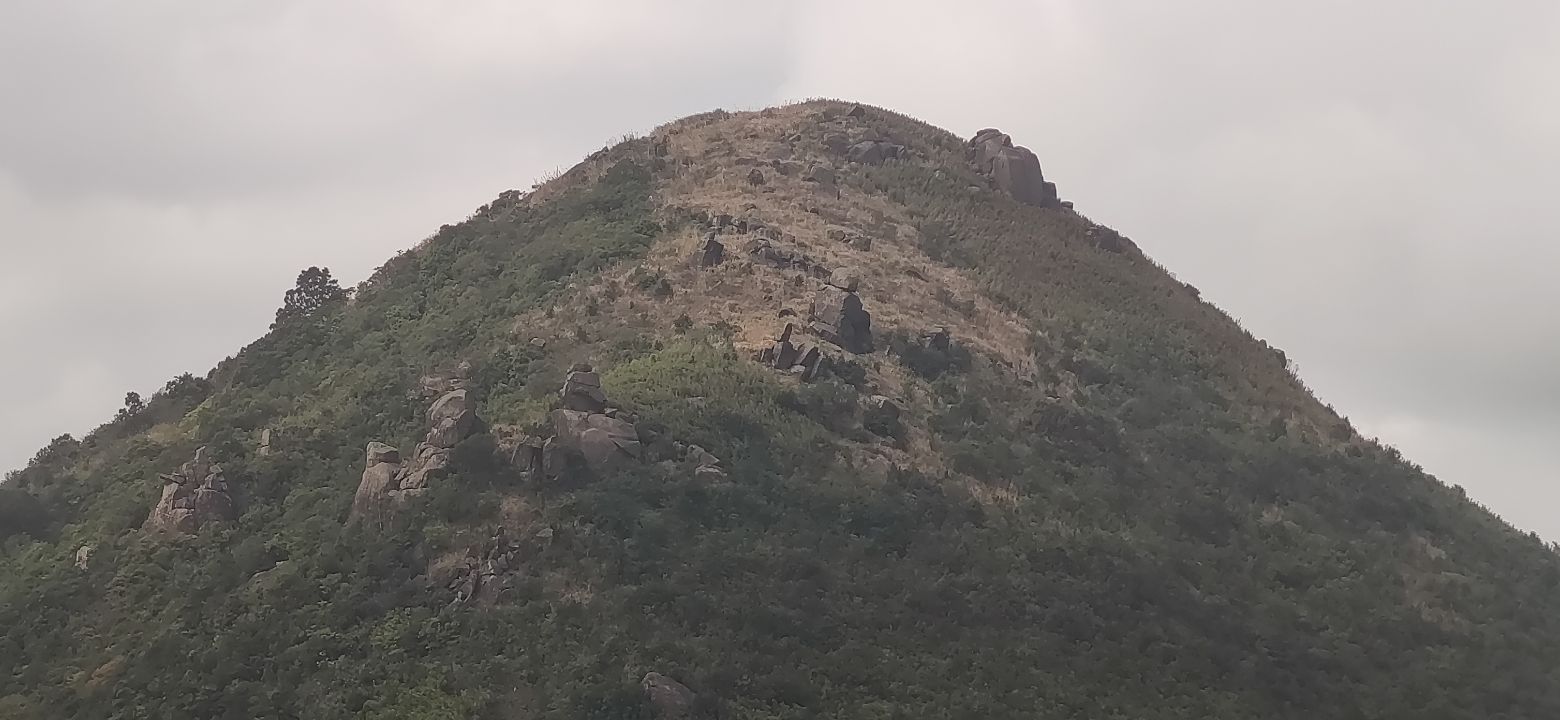 紫罗山森林公园旅行图片 3