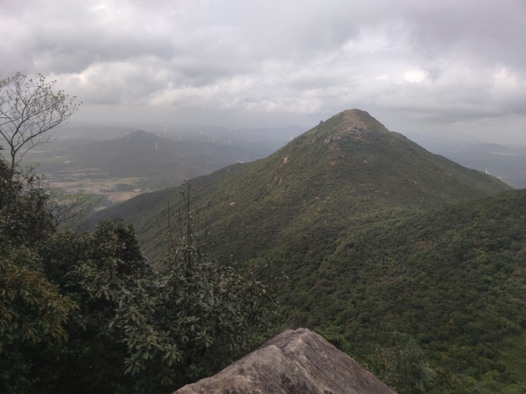紫罗山森林公园旅行图片 1