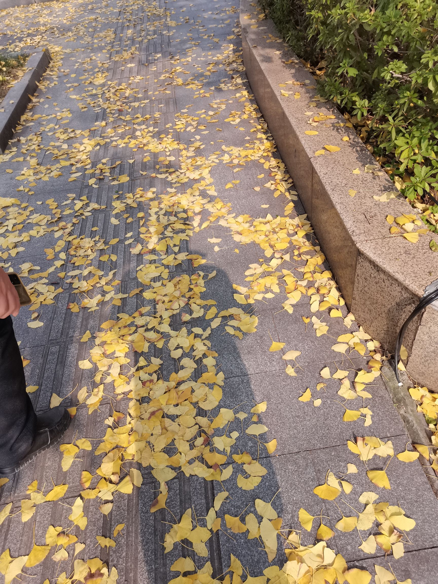云篆风清旅行图片 2