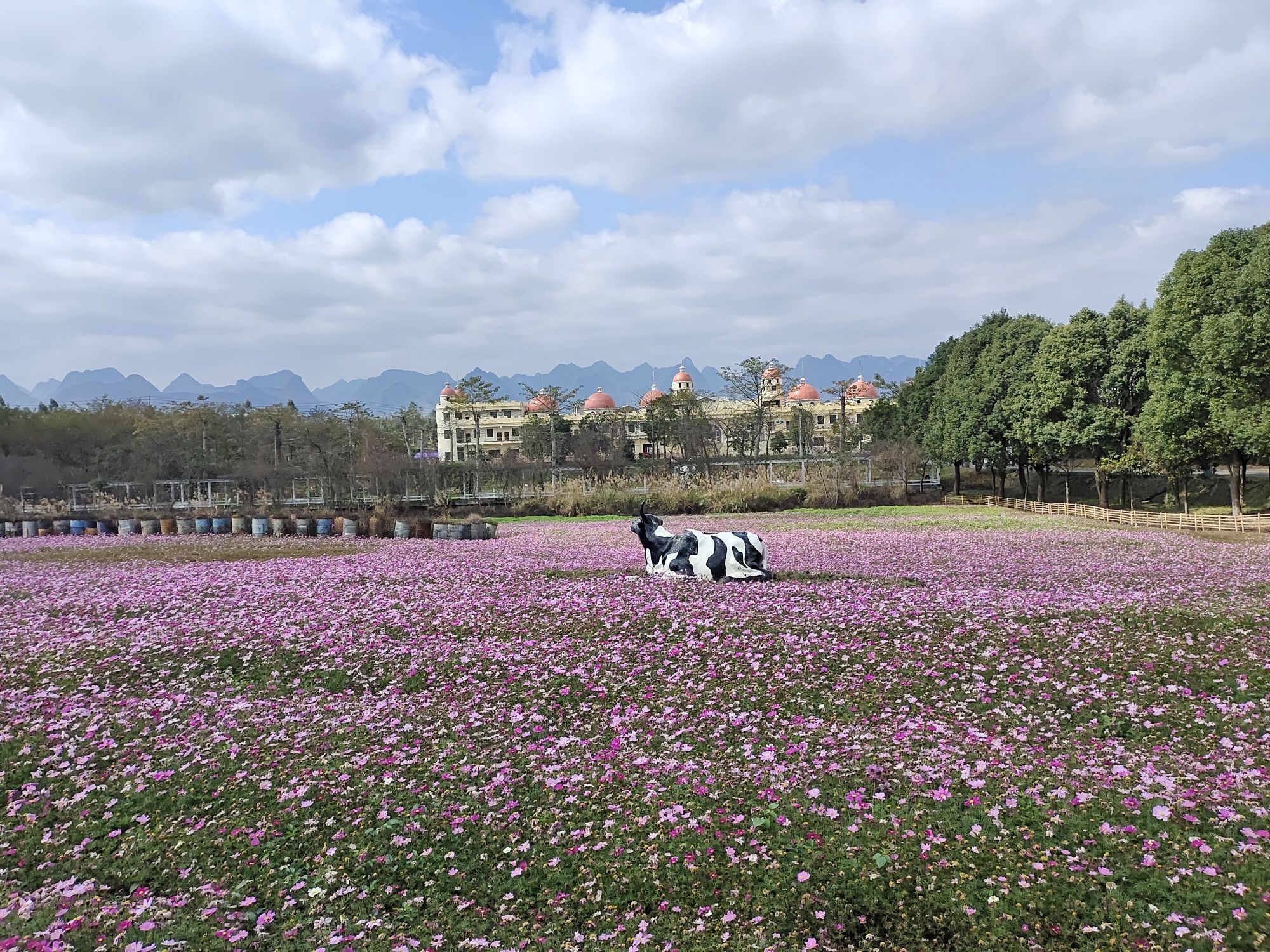 忻城薰衣草庄园旅行图片 3
