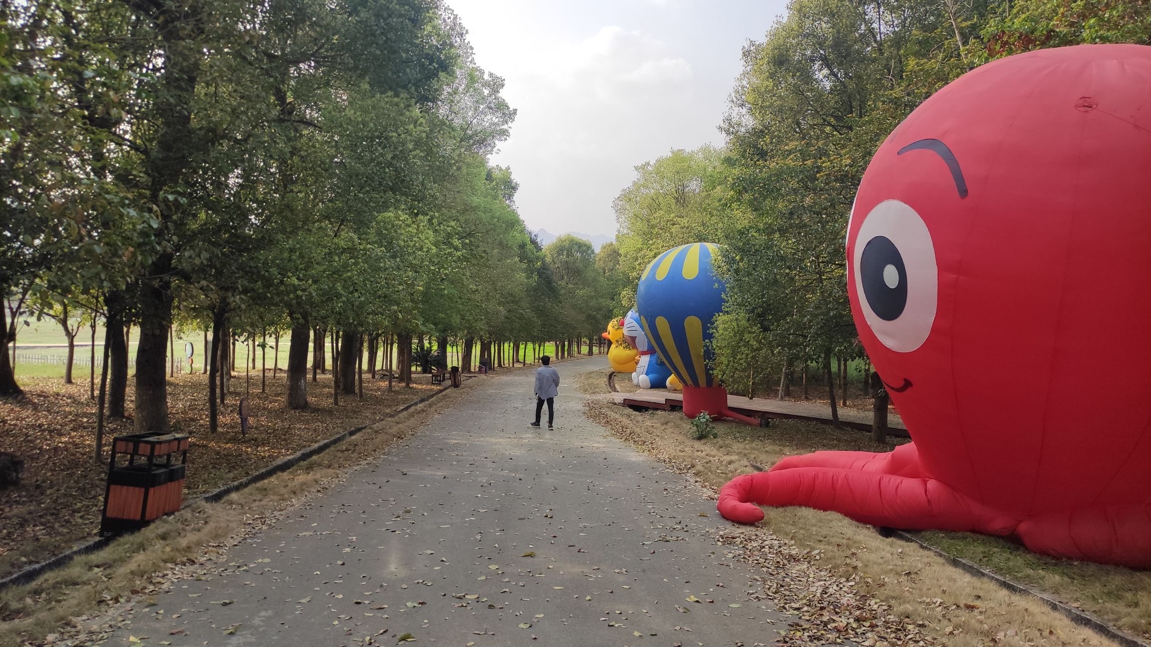 忻城薰衣草庄园旅行图片 3