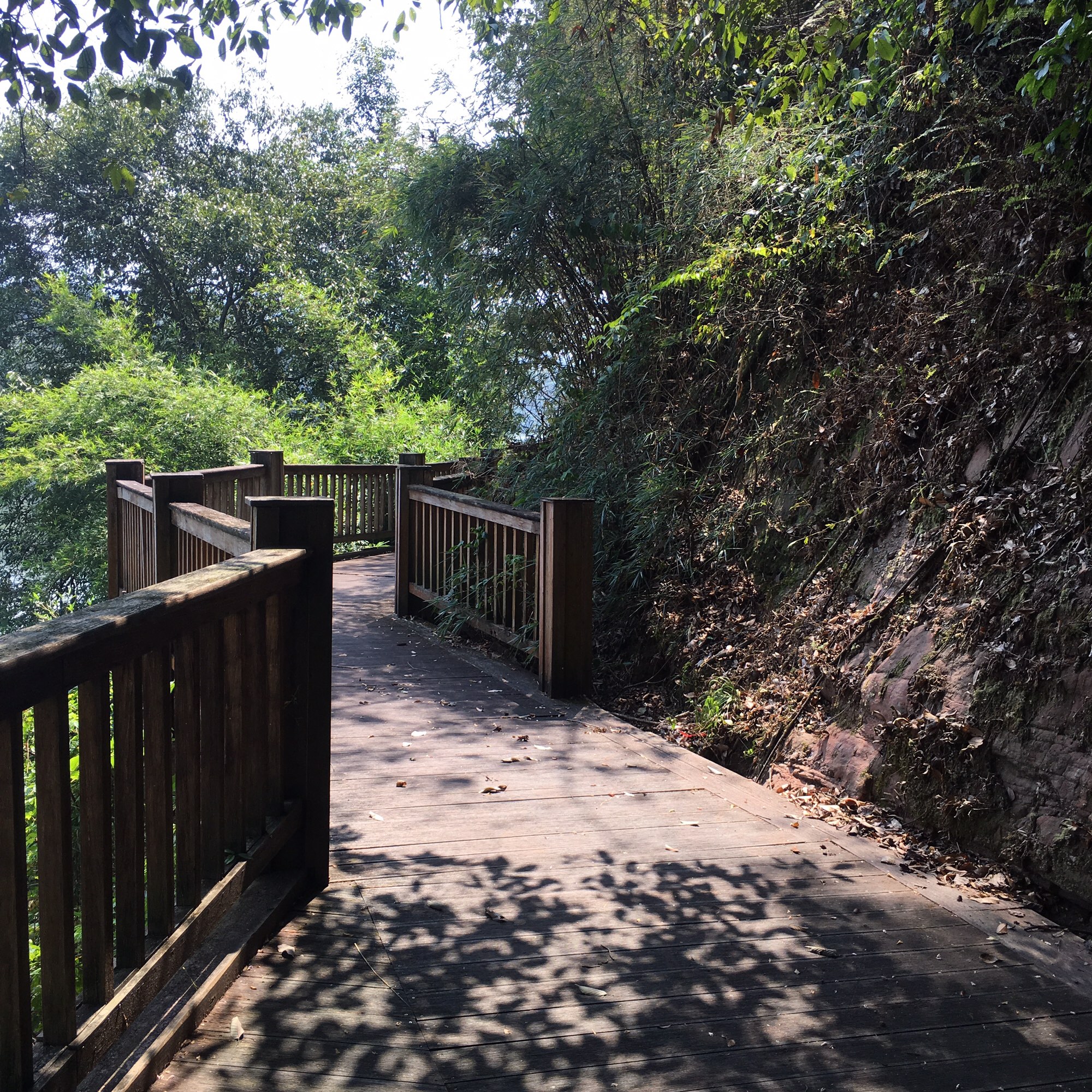 永安山地自行车公园旅行图片 2