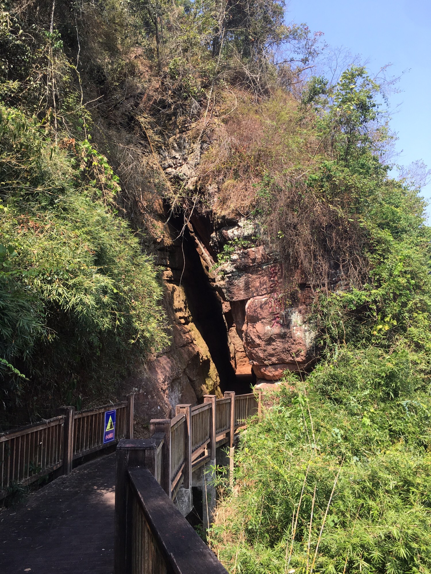 永安山地自行车公园旅行图片 1