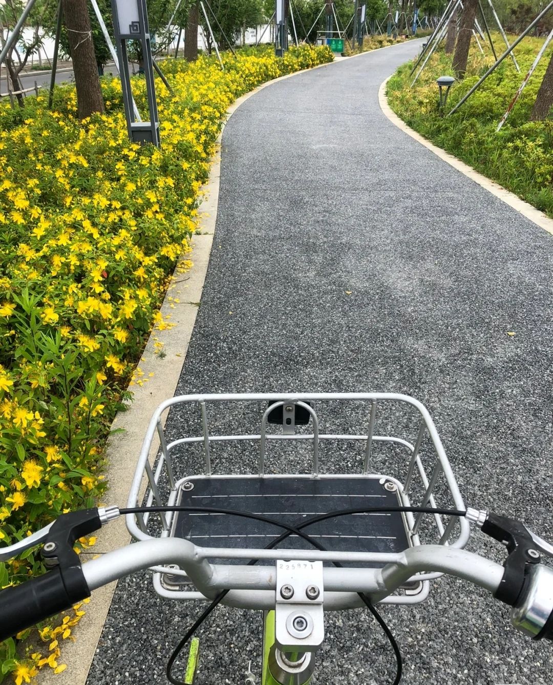 永安山地自行车公园旅行图片 1