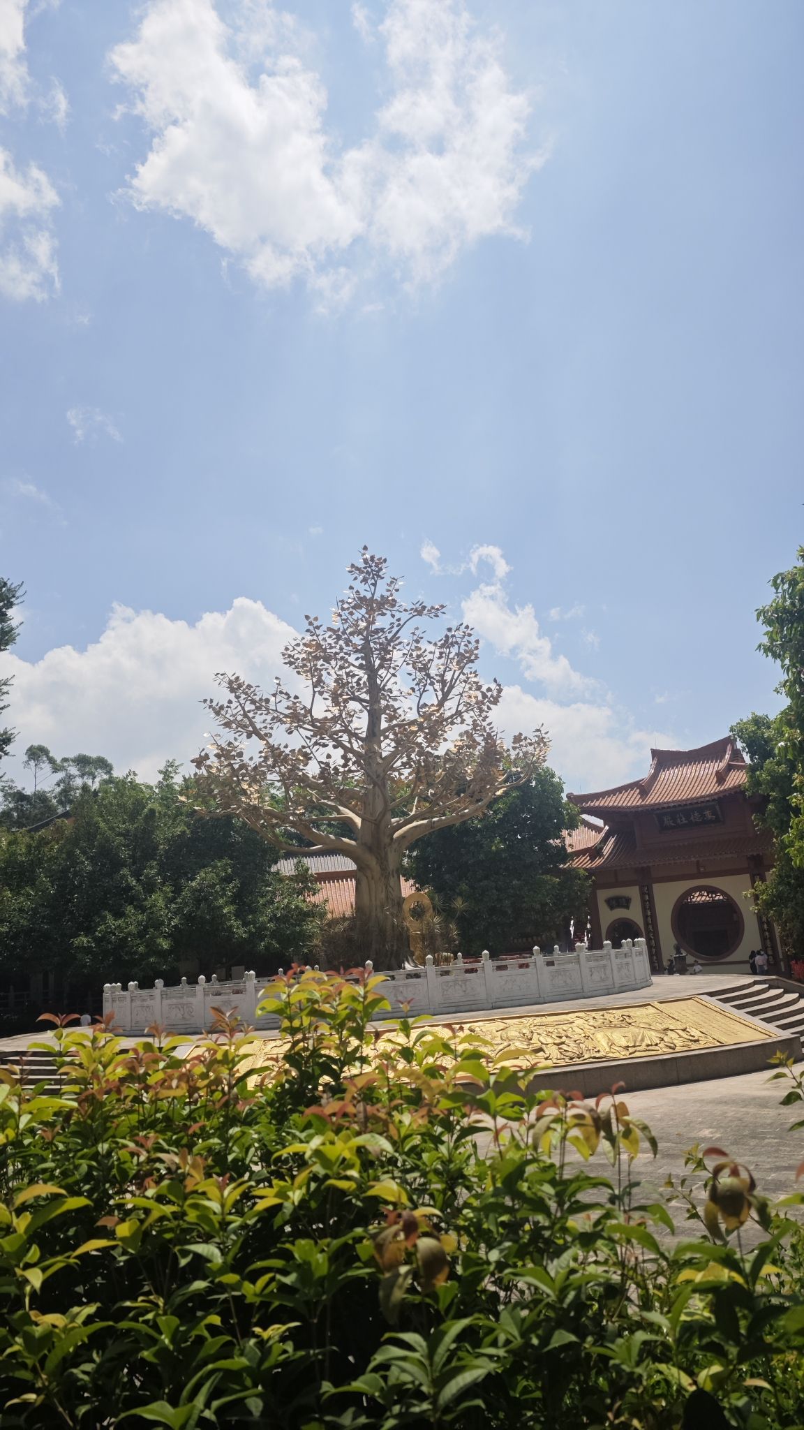 中国河源·巴伐利亚庄园旅行图片 1