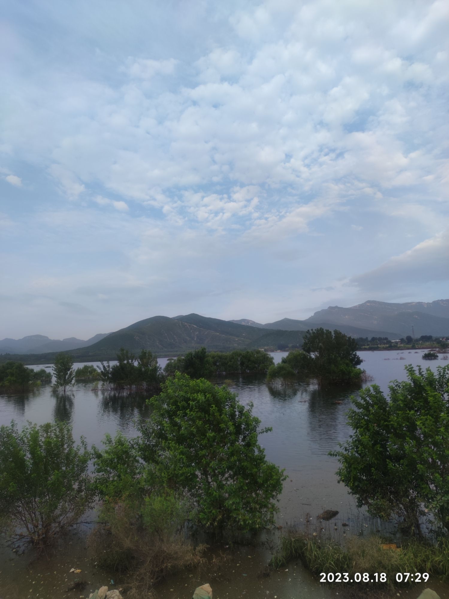 天开花海旅行图片 2