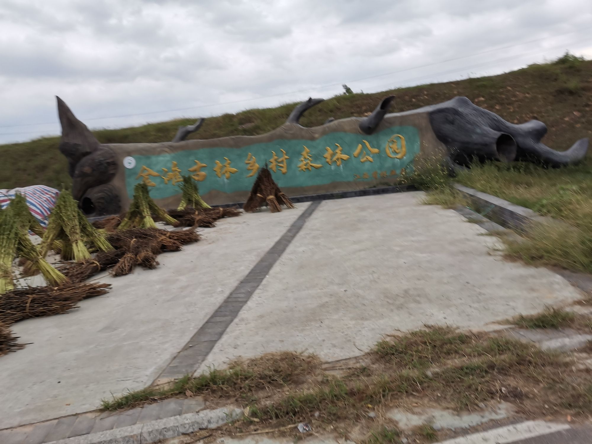 金滩古林旅行图片 1