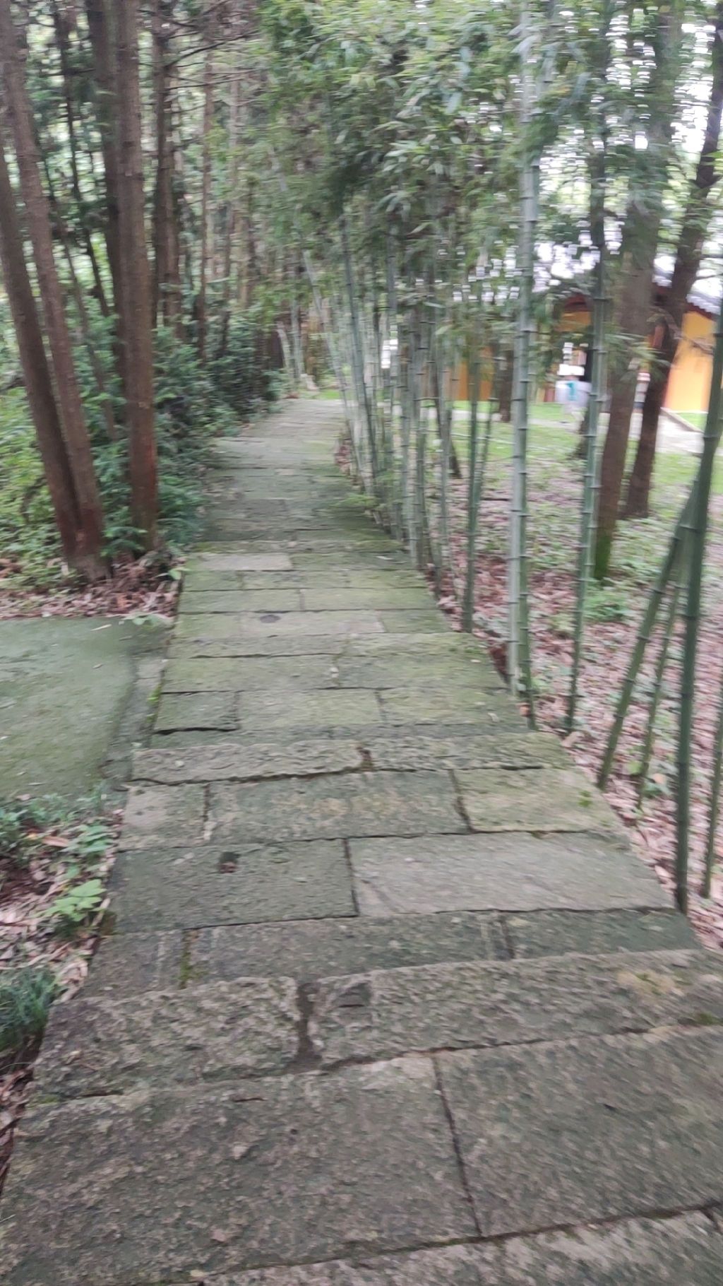 积道山旅行图片 1