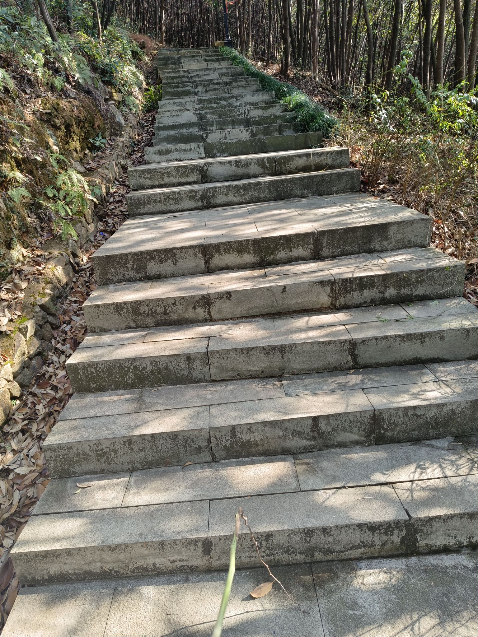 积道山旅行图片 1