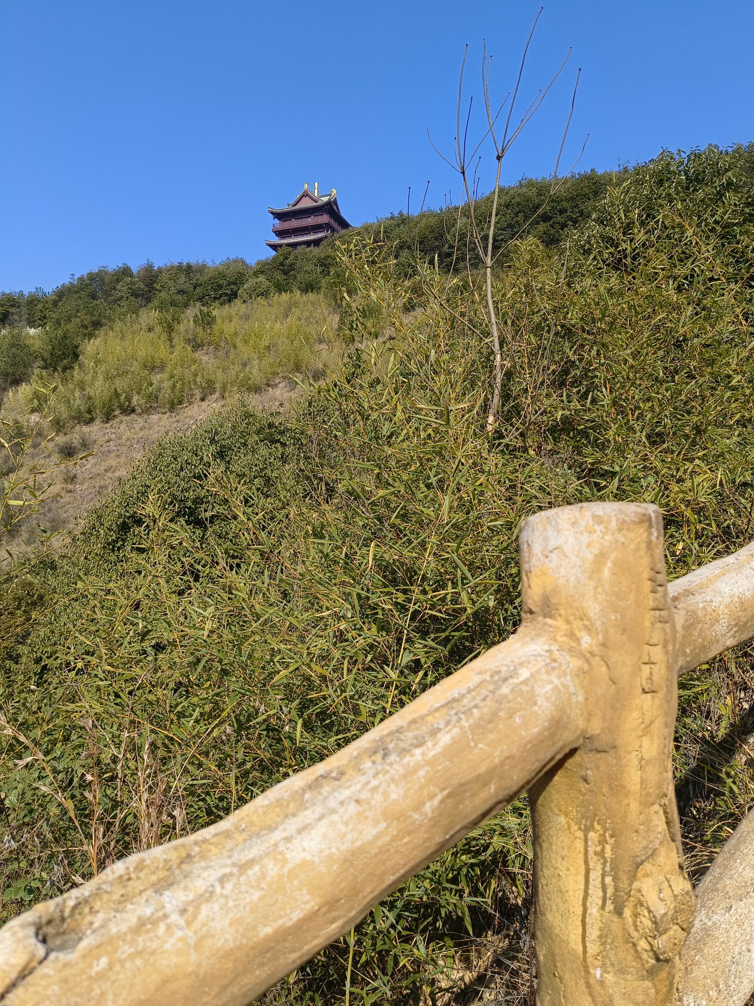 积道山旅行图片 2