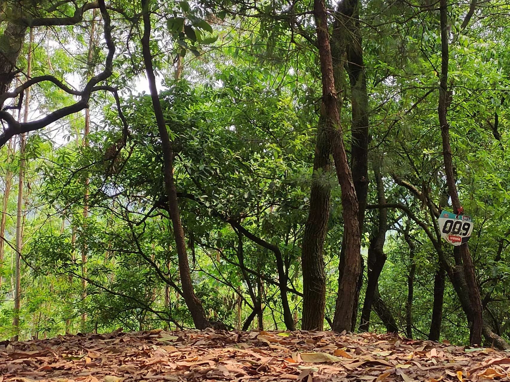 天雹水库水利风景区(不对外开放)旅行图片 1