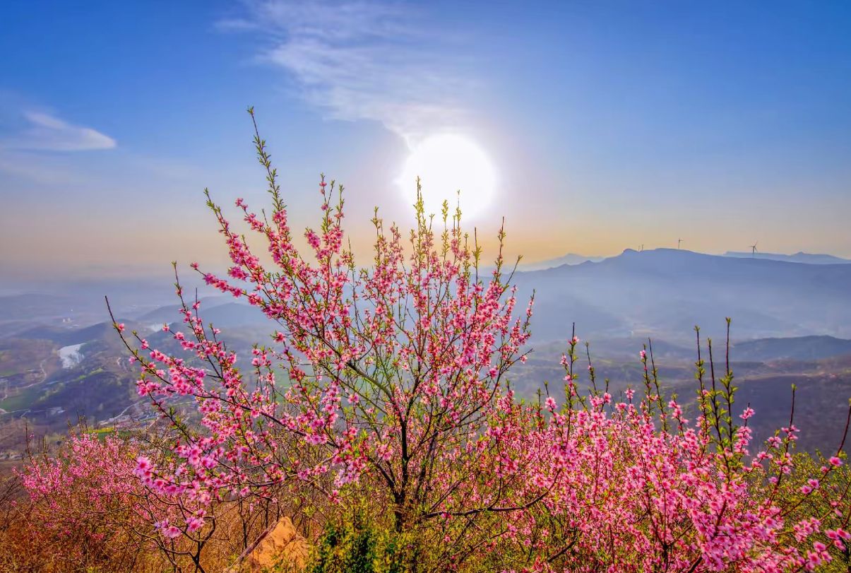 九里山旅行图片 3