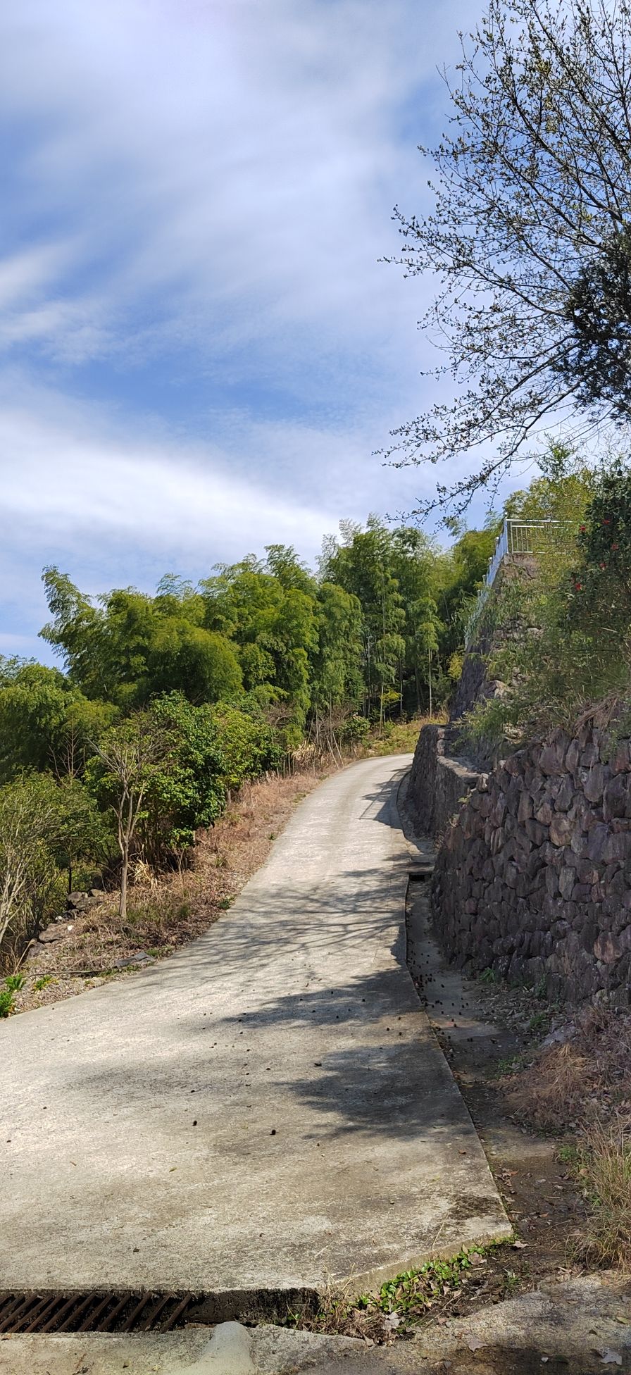 天明山国家森林公园旅行图片 3