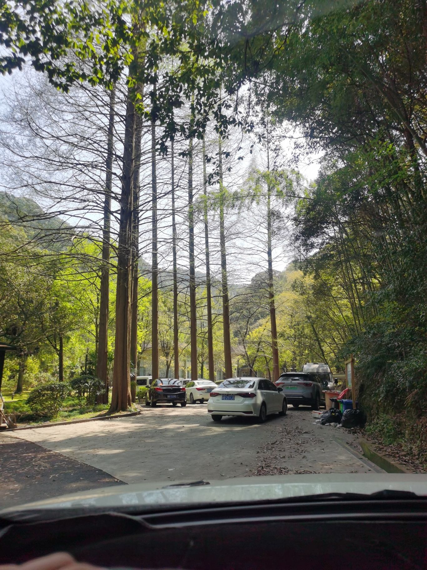 天明山国家森林公园旅行图片 2