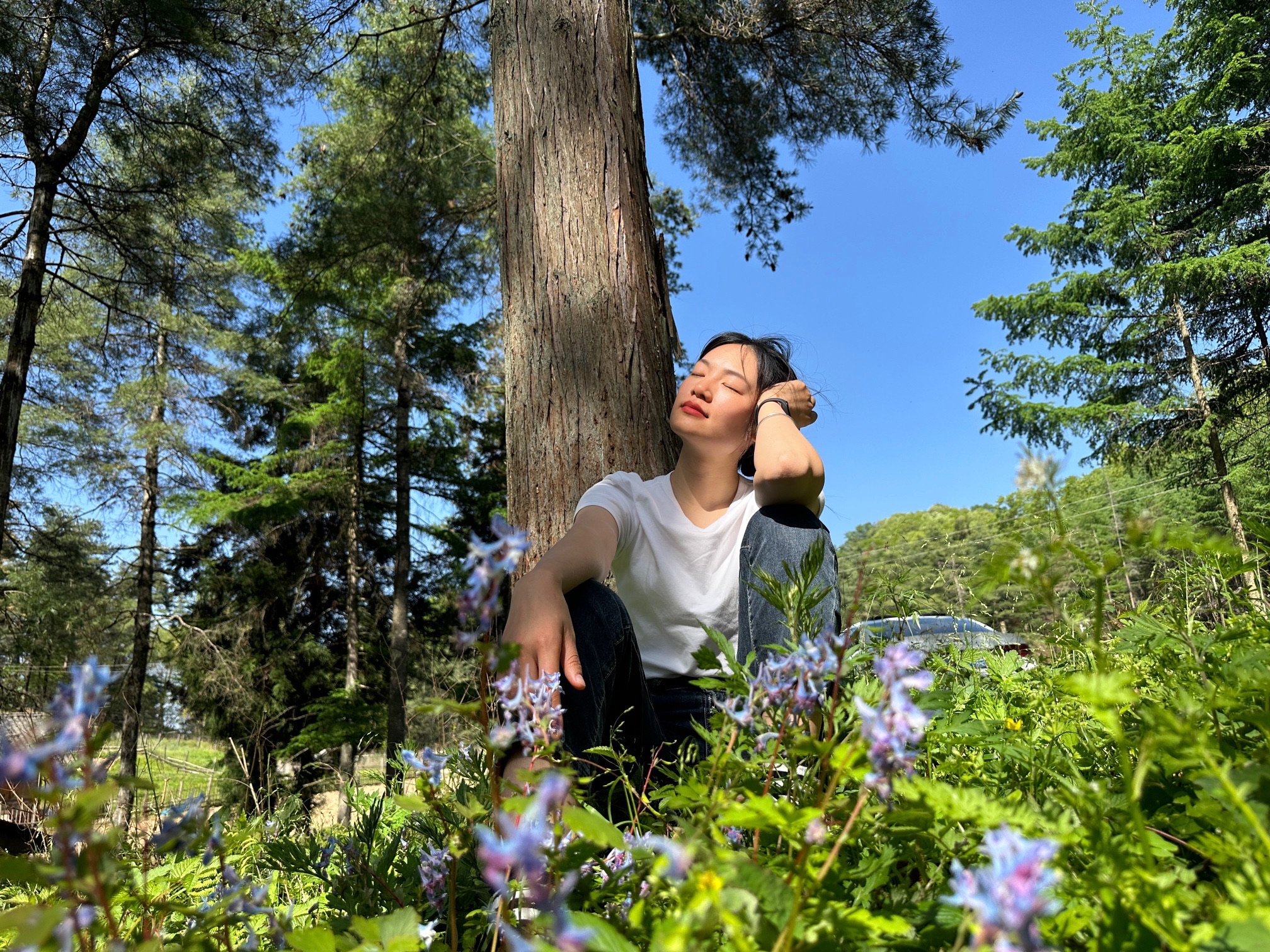 空山天盆风景区旅行图片 3
