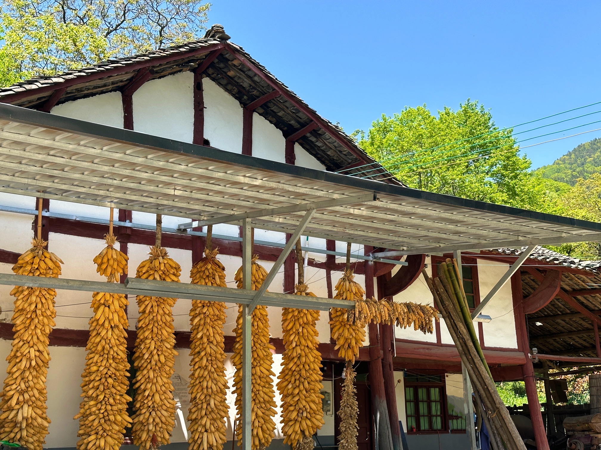 空山天盆风景区旅行图片 2