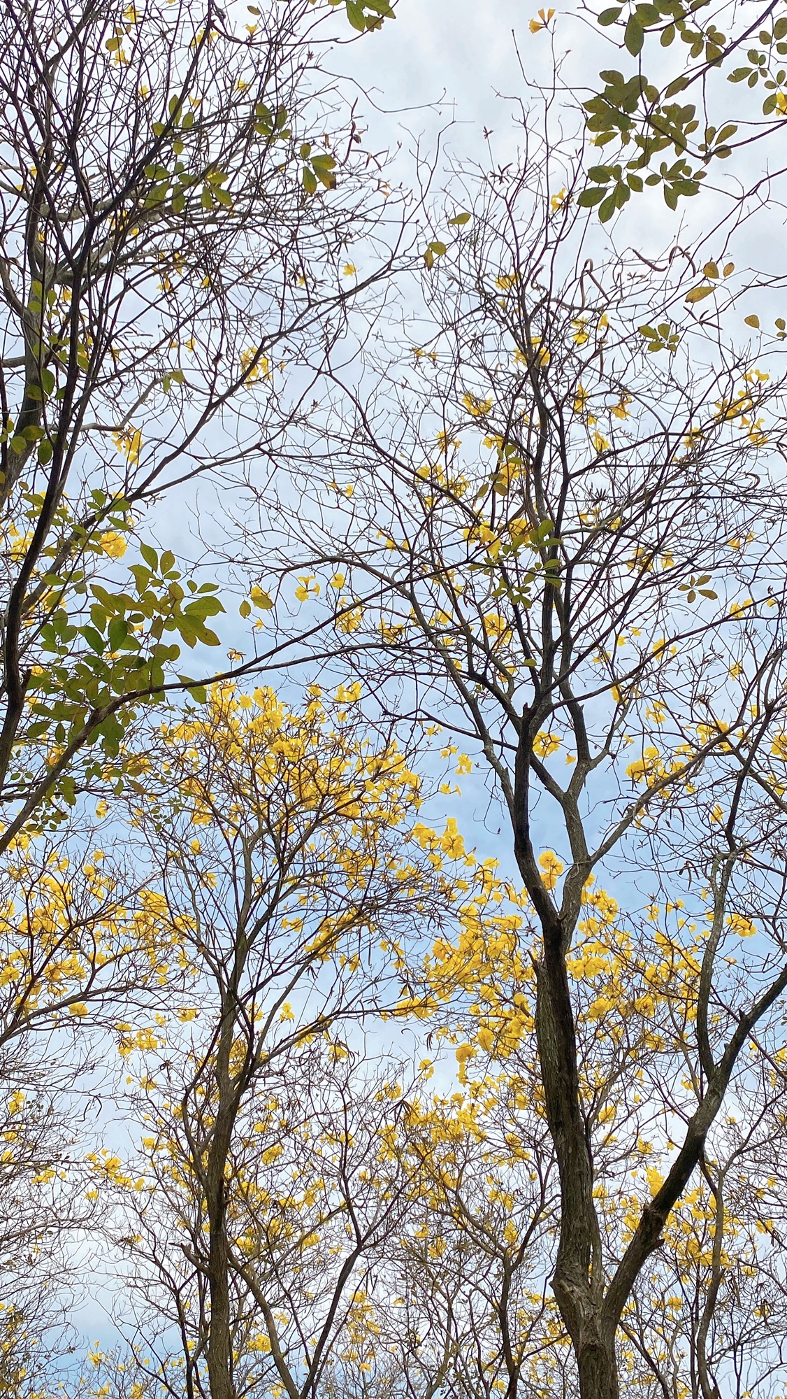 市民公园旅行图片 3