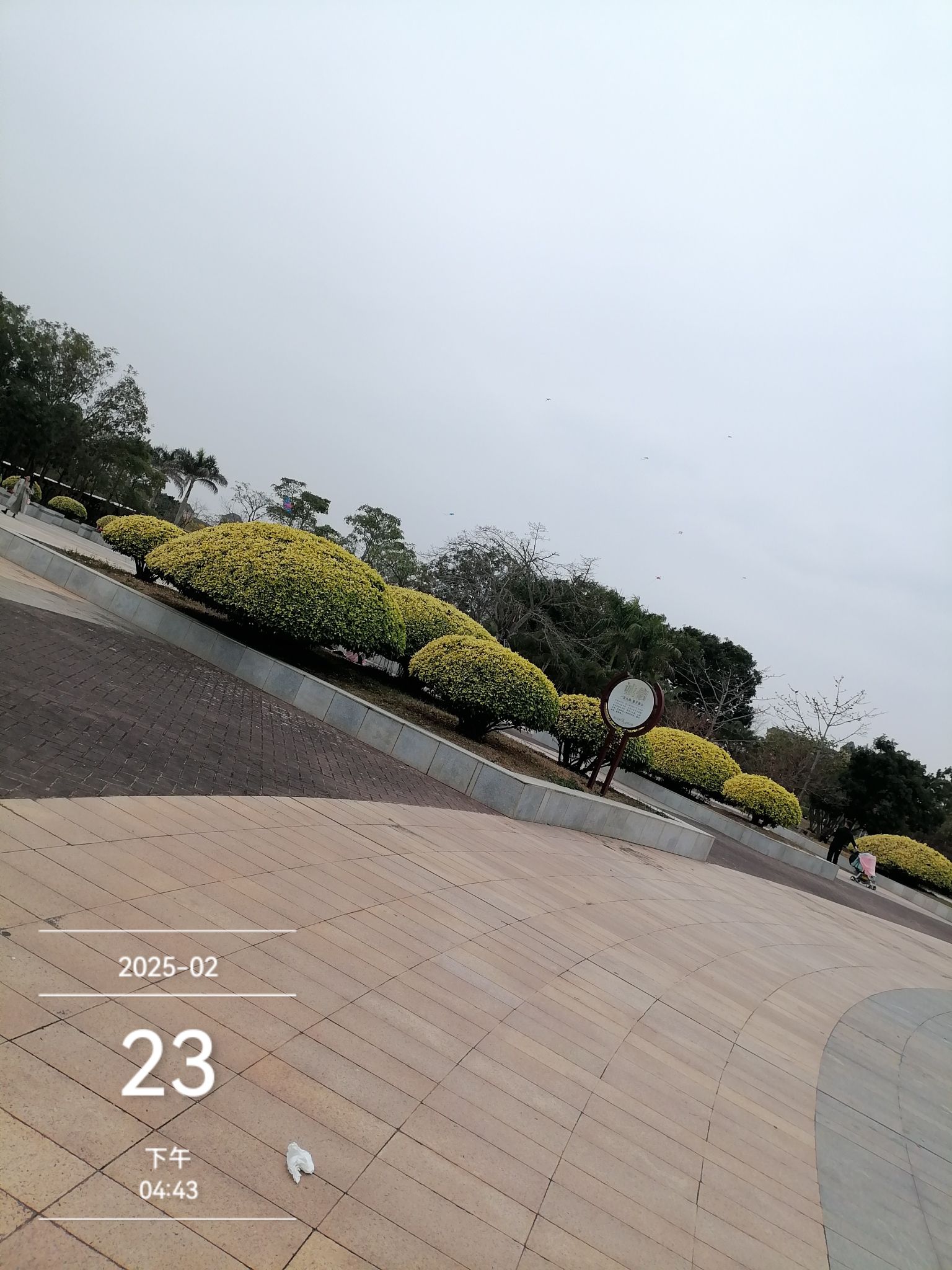 市民公园旅行图片 2