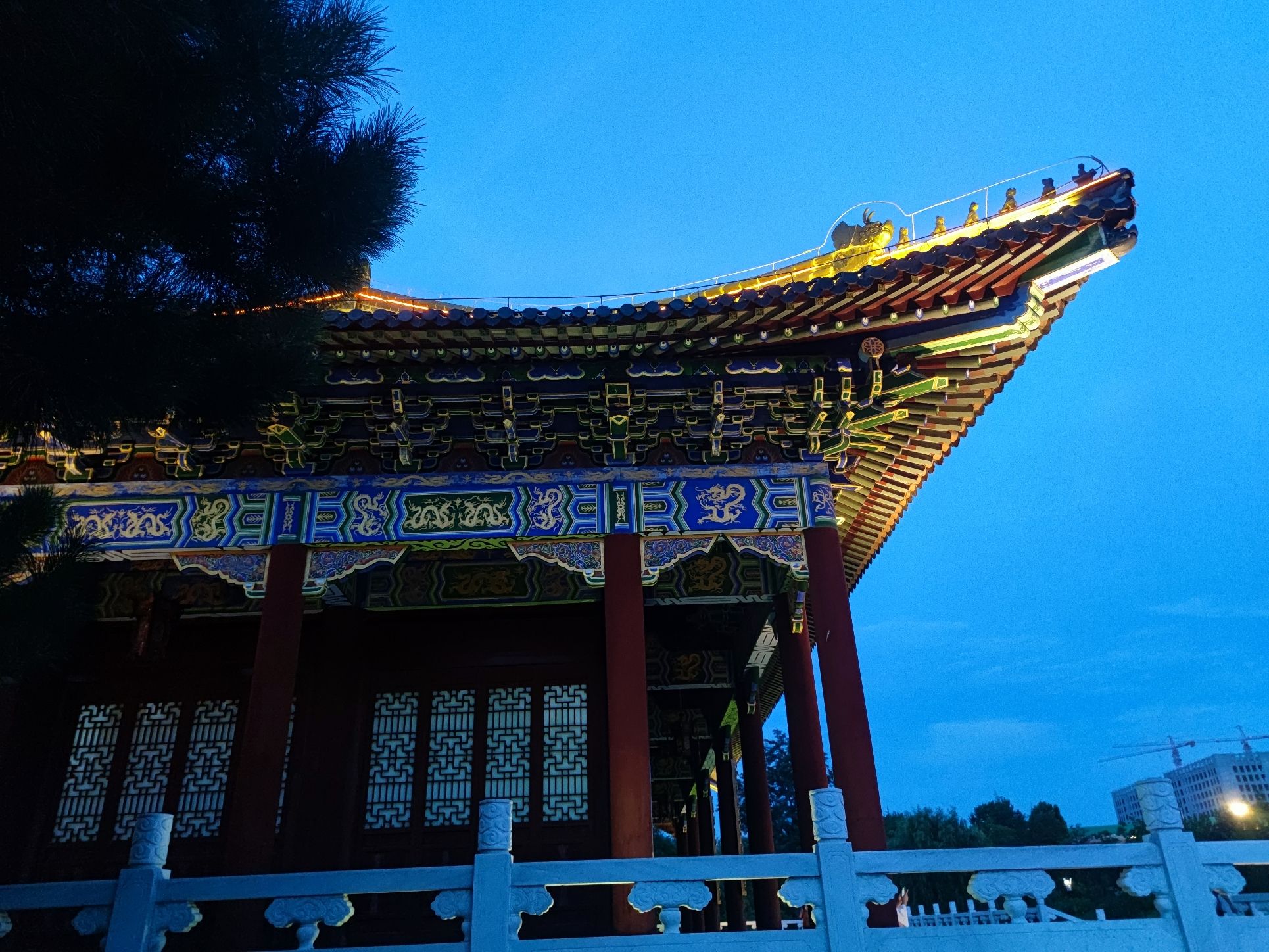国学公园旅行图片 3