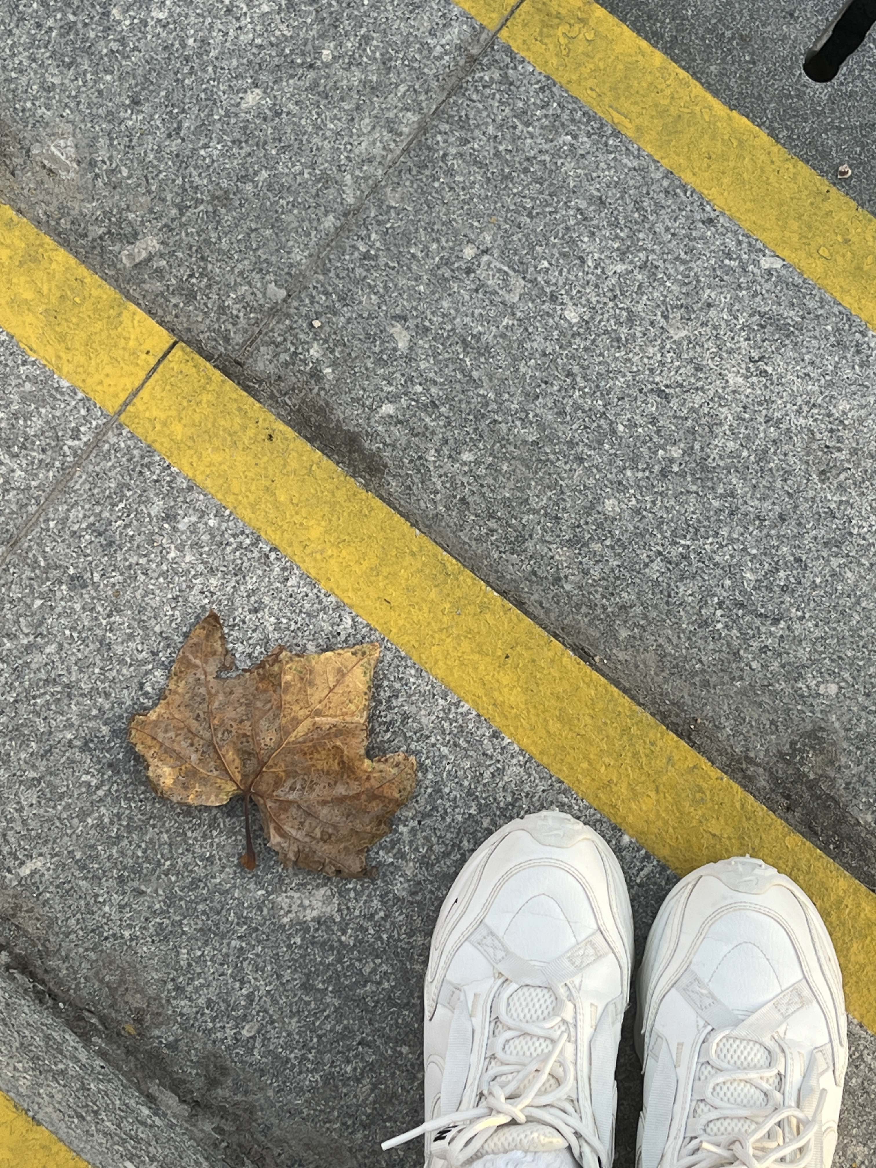 国学公园旅行图片 3