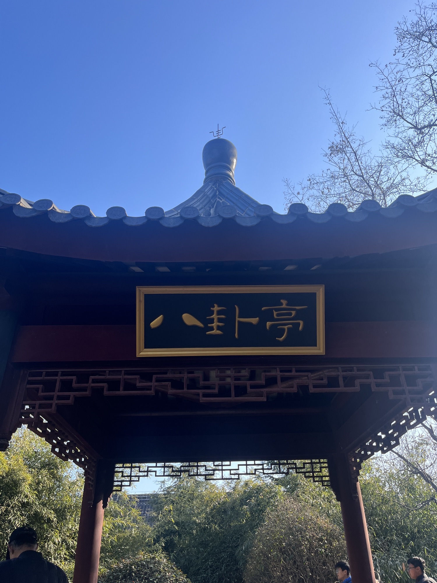 国学公园旅行图片 3