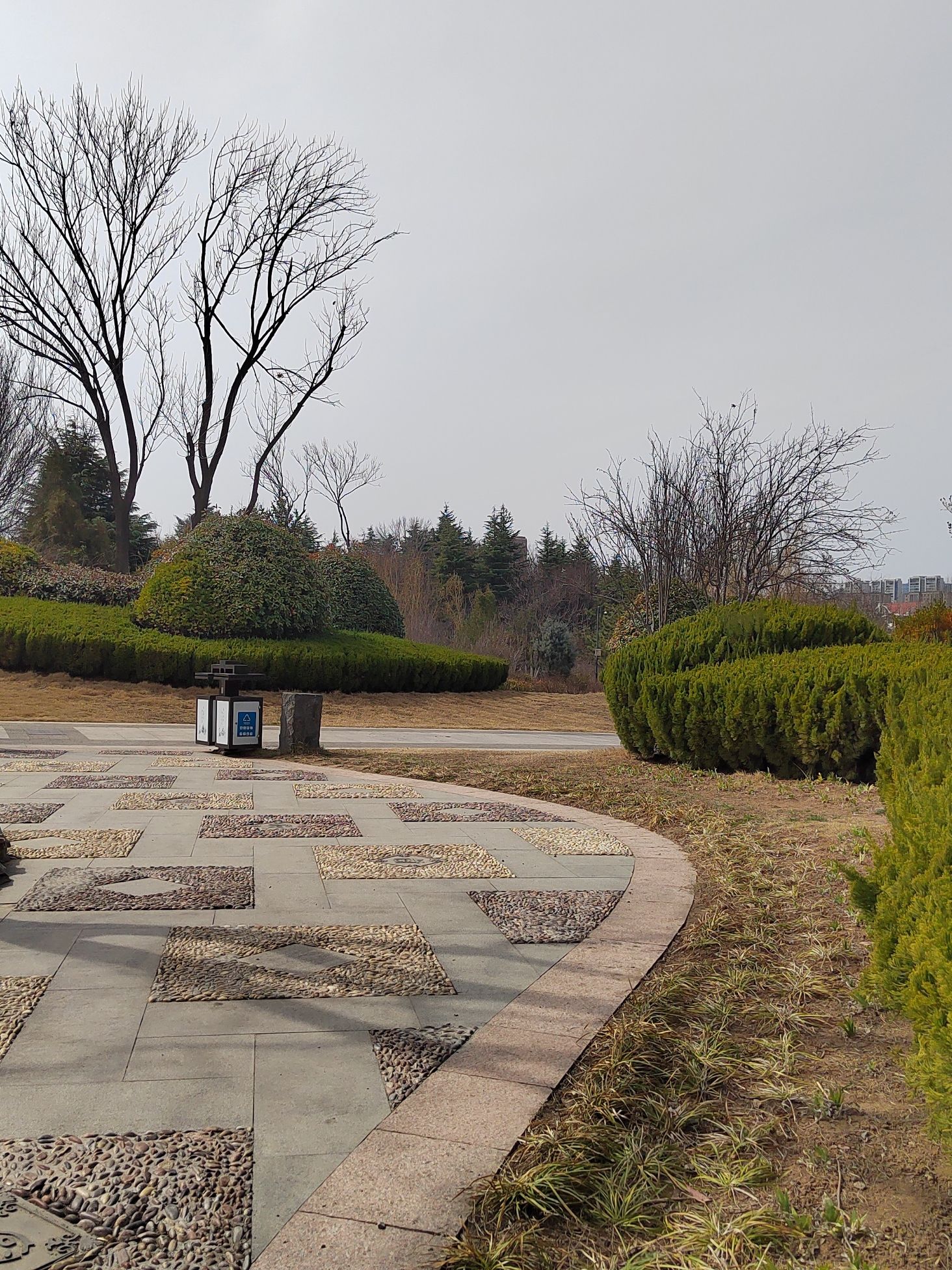 国学公园旅行图片 3
