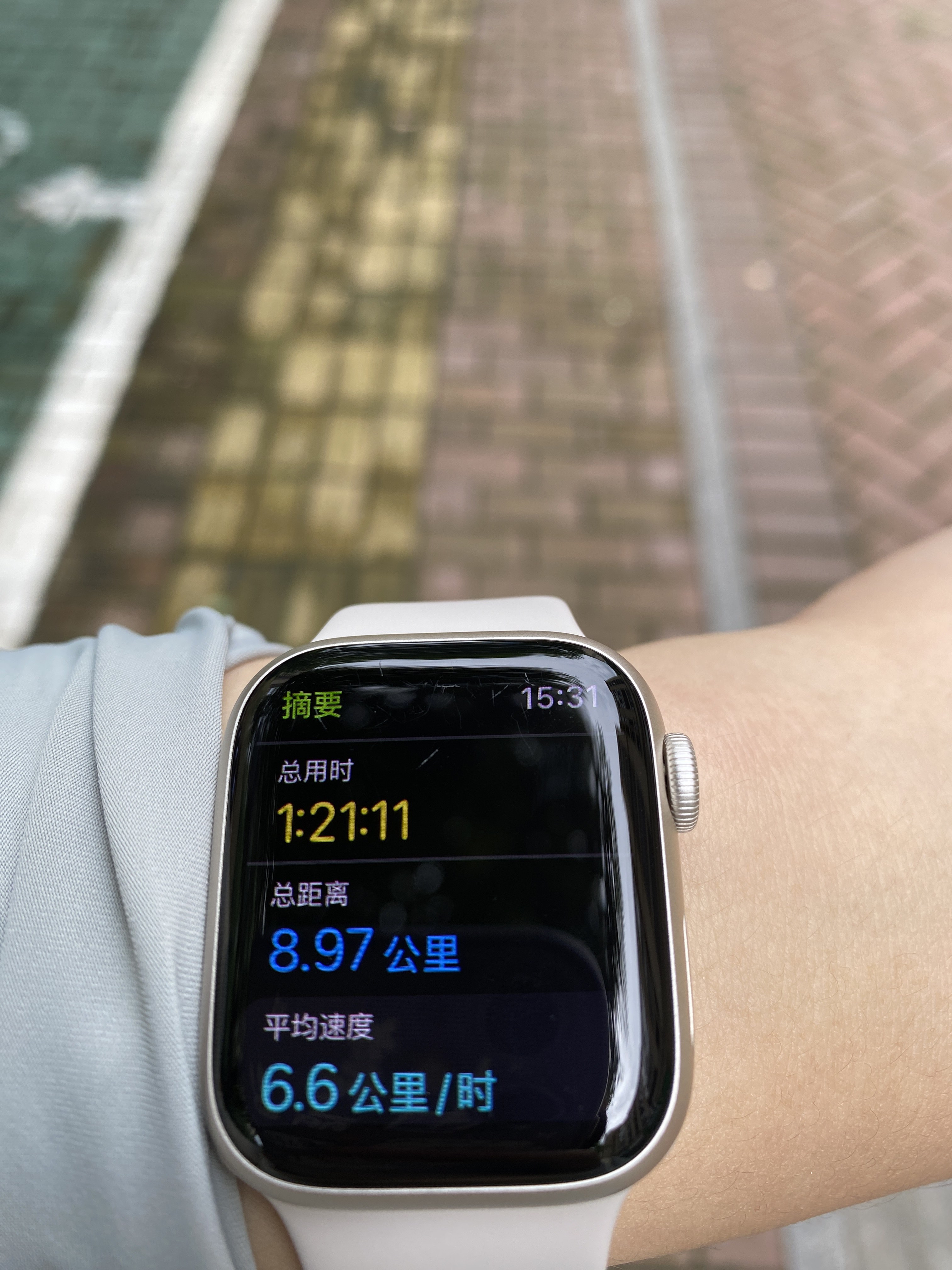 麒麟中央公园旅行图片 1