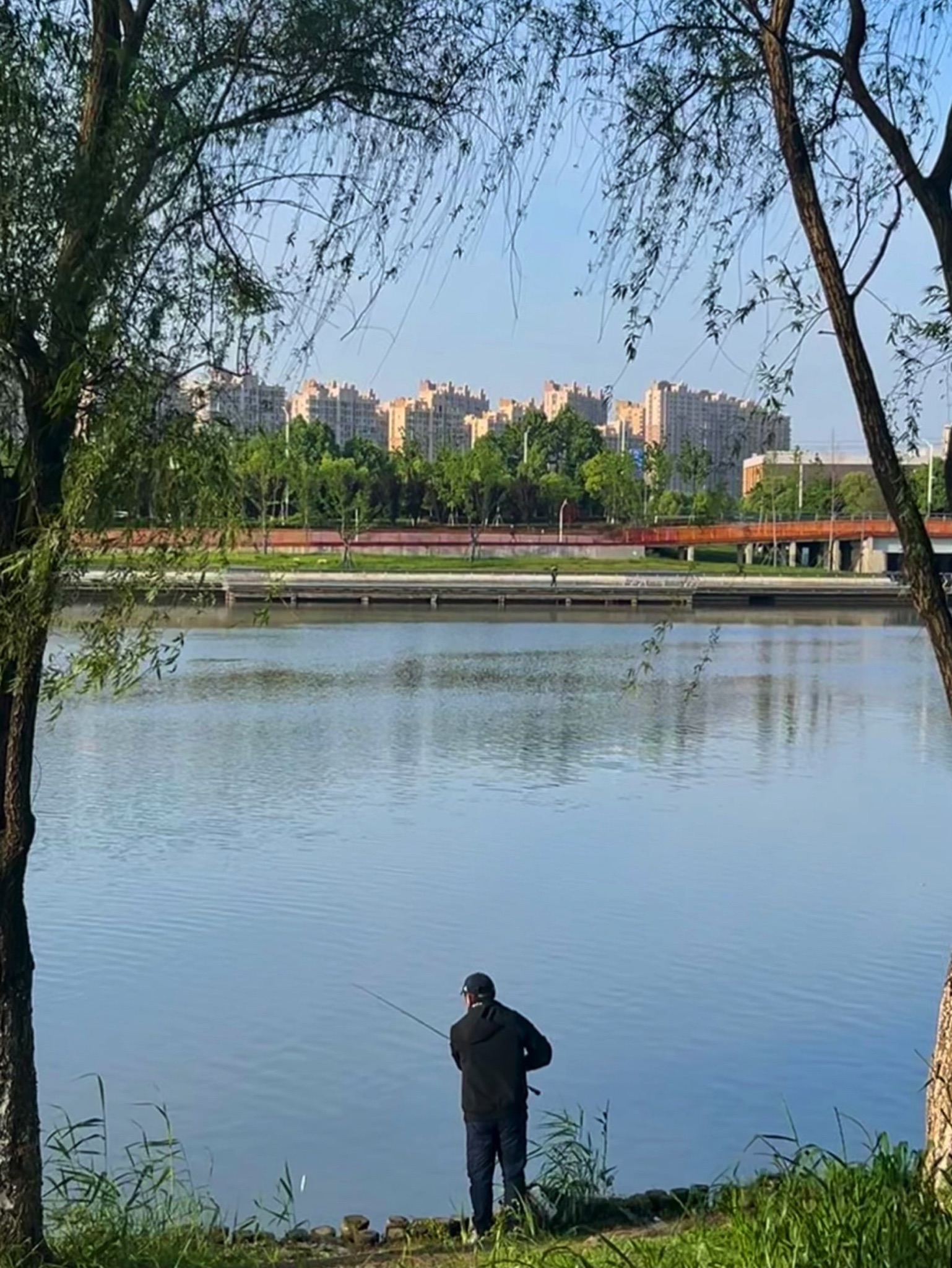 麒麟中央公园旅行图片 1
