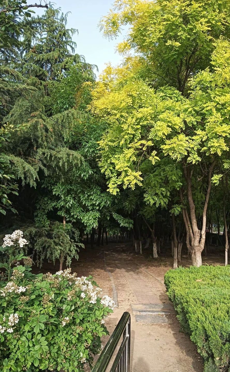 幵山景区旅行图片 2