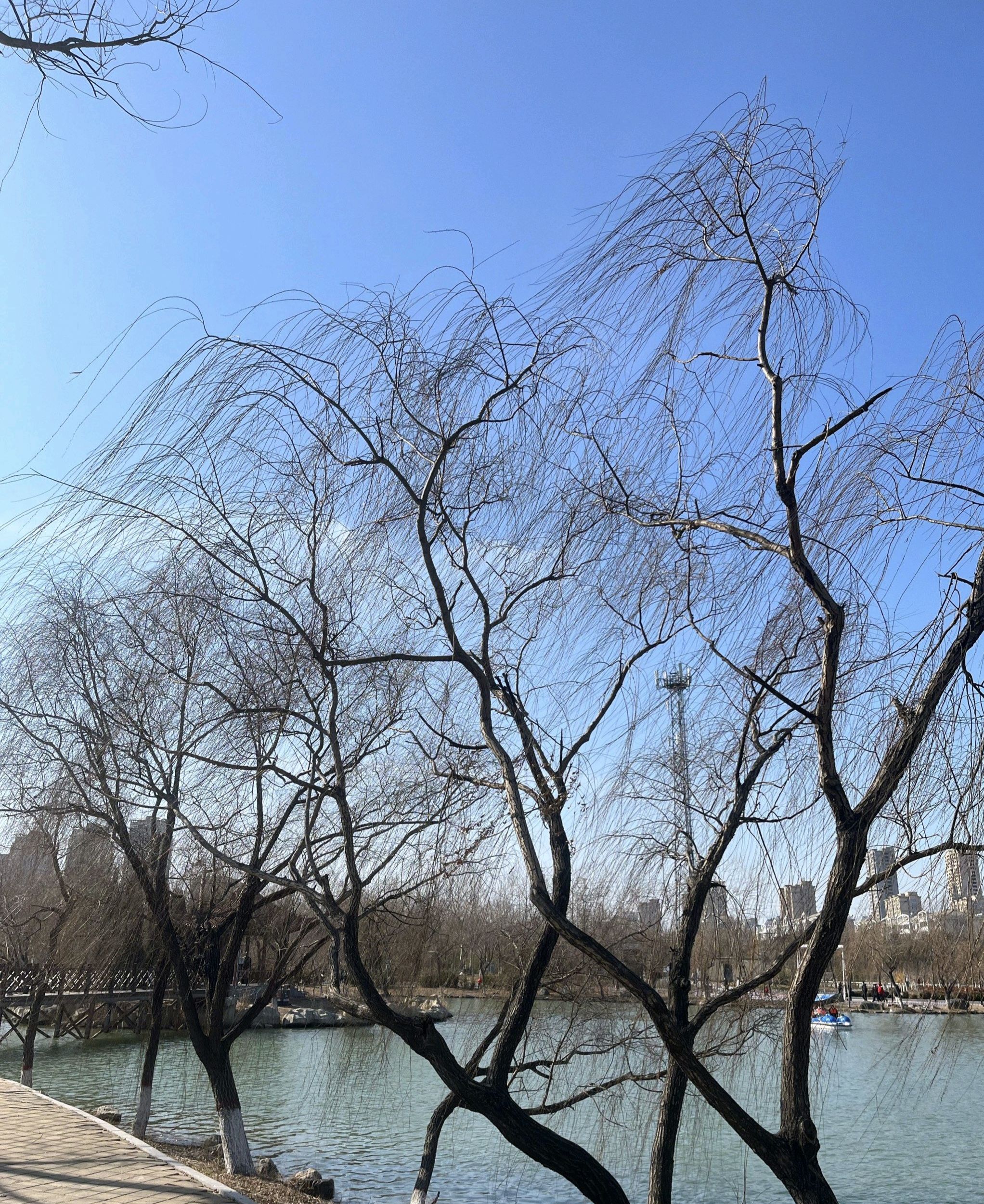 幵山景区旅行图片 1