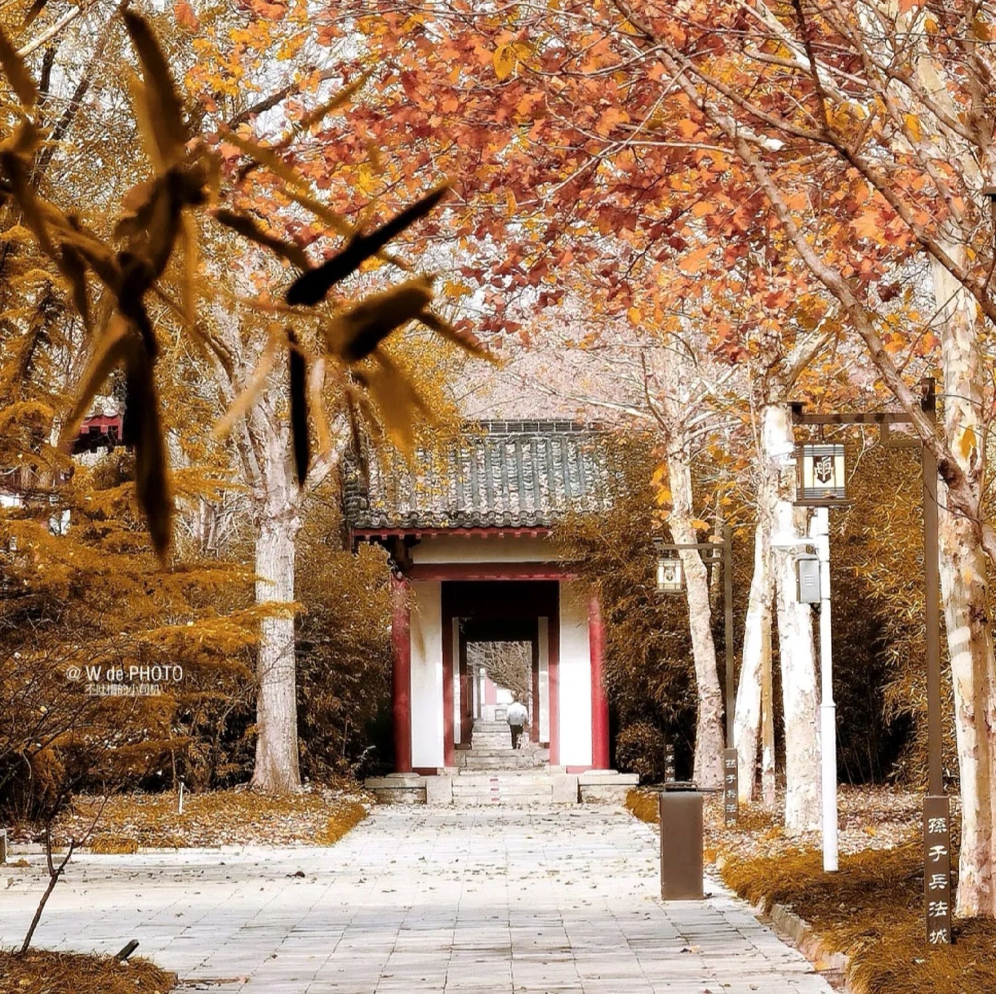 孙武古城旅游区旅行图片 1