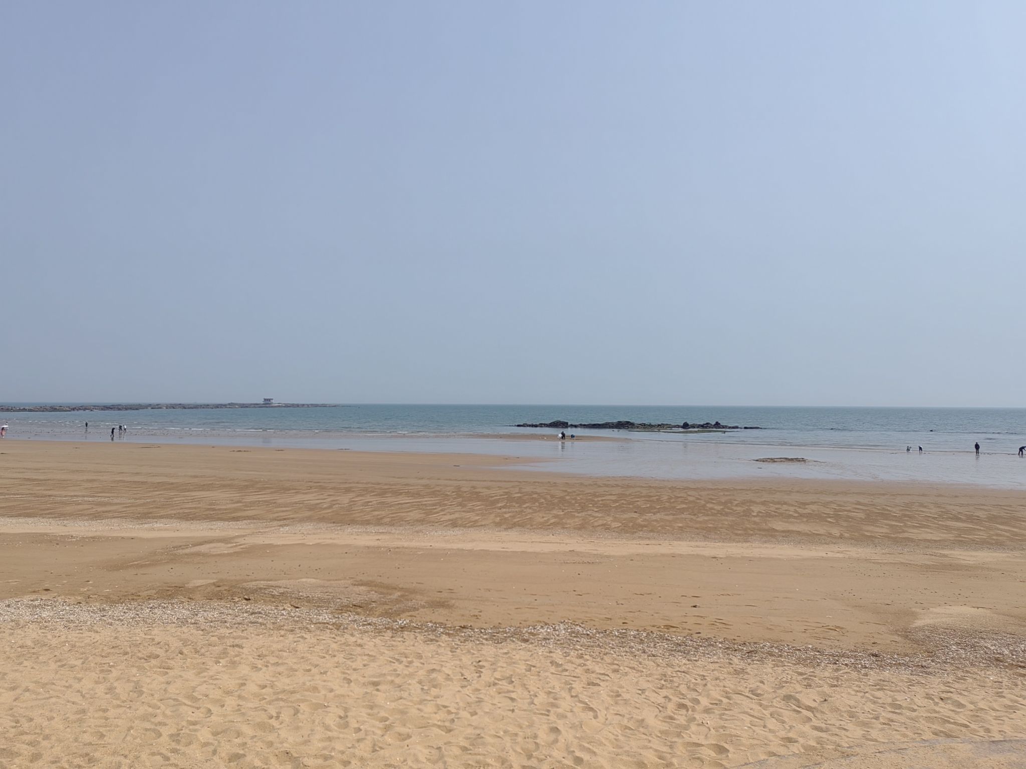 太公岛牡蛎公园旅行图片 1