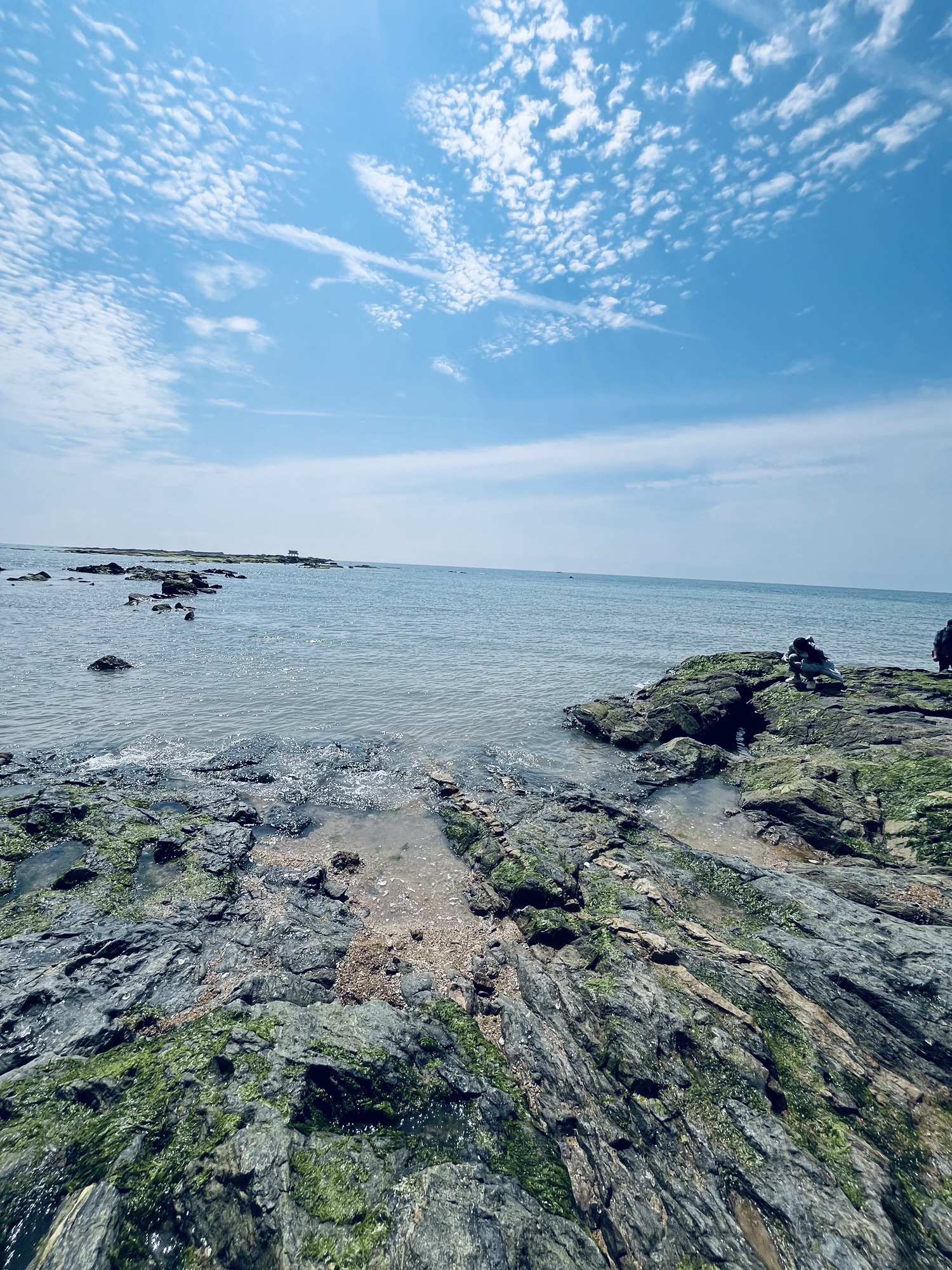 太公岛牡蛎公园旅行图片 1