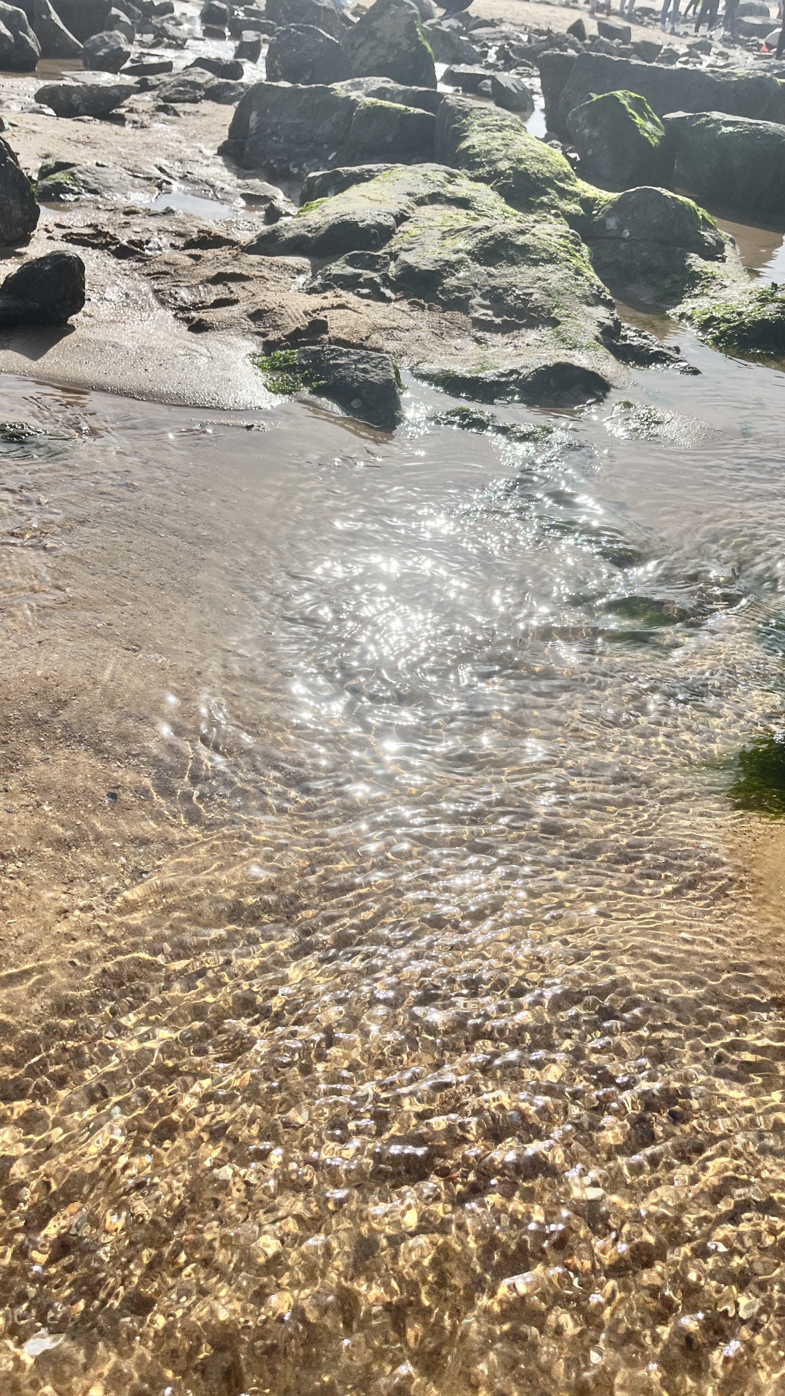 太公岛牡蛎公园旅行图片 2