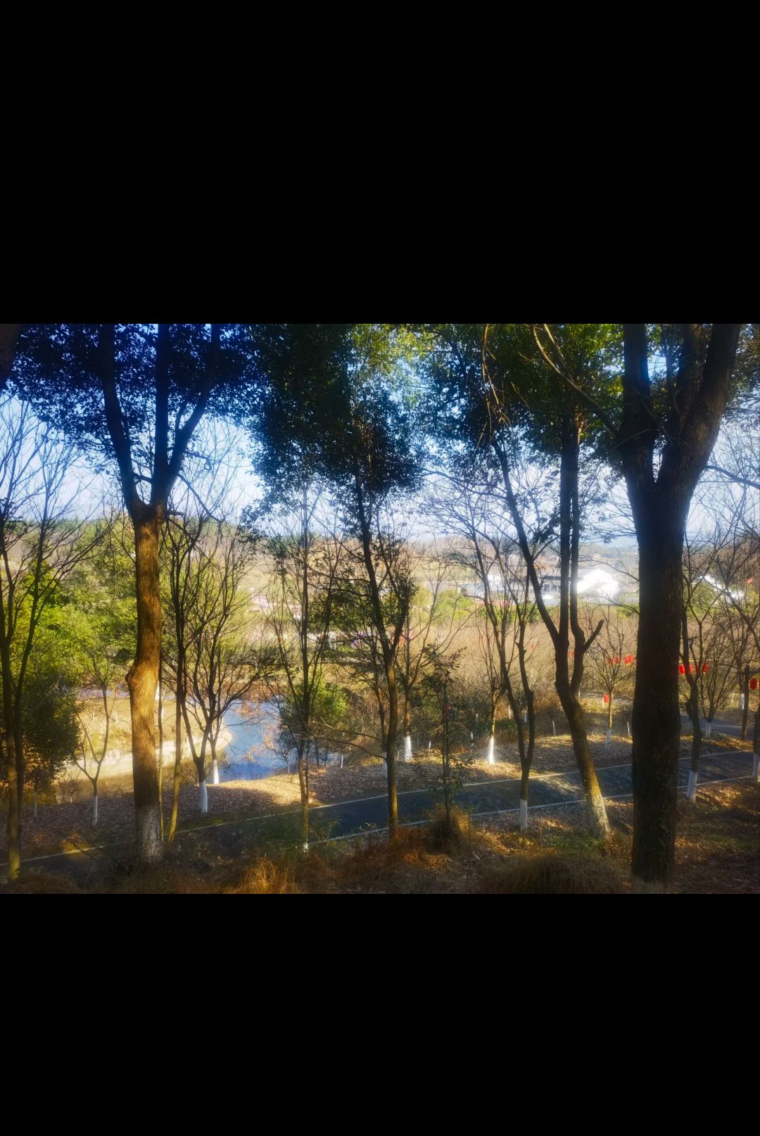 希尔寨生态庄园旅行图片 3