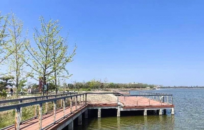 曹妃甸湿地景区旅行图片 3